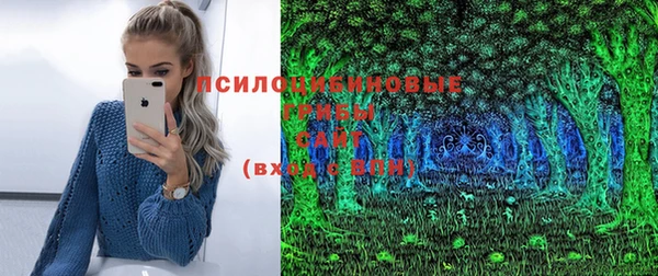 мдма Елизово